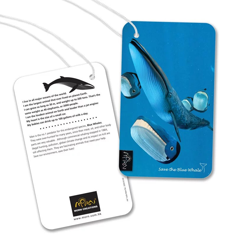 Blue Whale Backpack (L) - Daily Sparkles