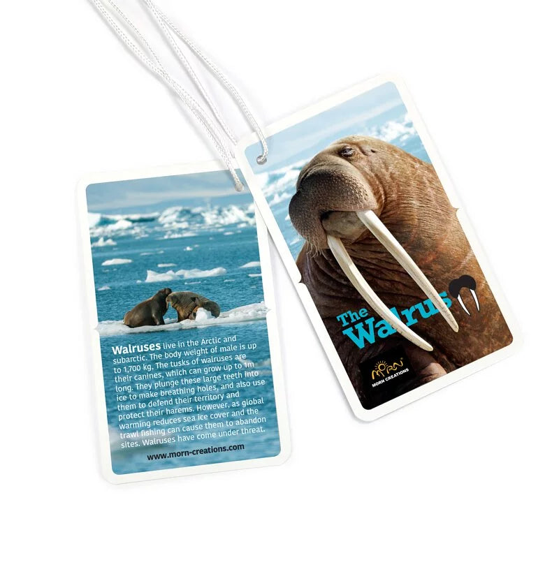 Walrus Backpack - Daily Sparkles